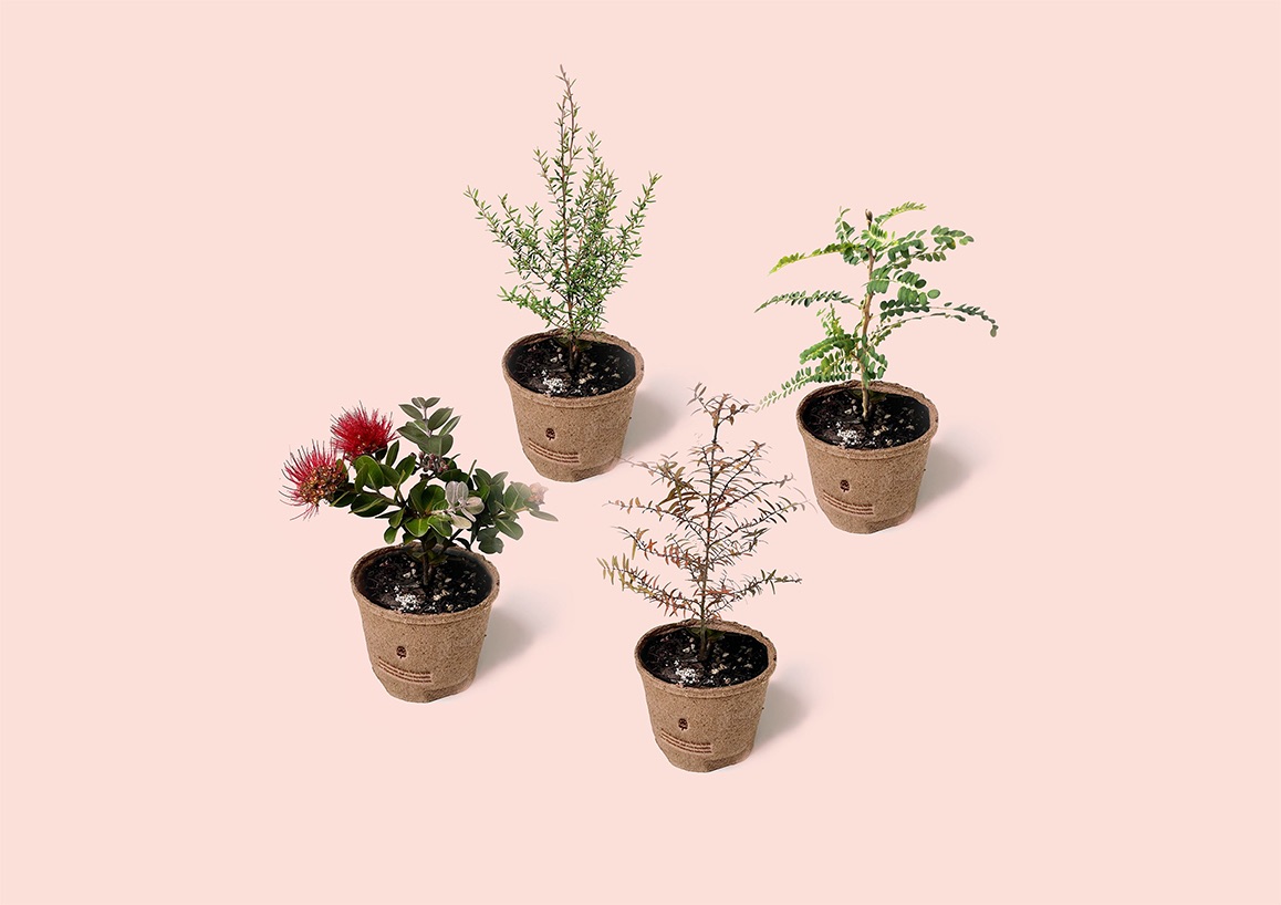 User research findings